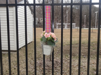 A metal bucket with a plant inside is hanging from a gate